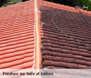 Peinture sur tuile et toiture