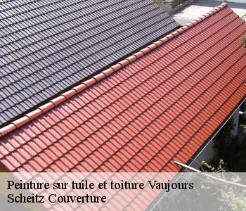 Peinture sur tuile et toiture