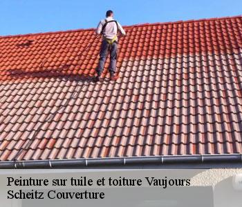 Peinture sur tuile et toiture