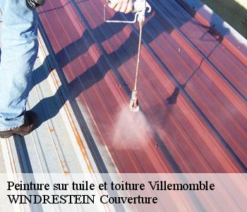Peinture sur tuile et toiture