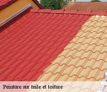 Peinture sur tuile et toiture
