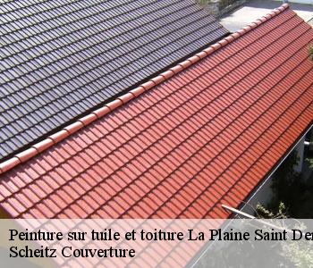 Peinture sur tuile et toiture