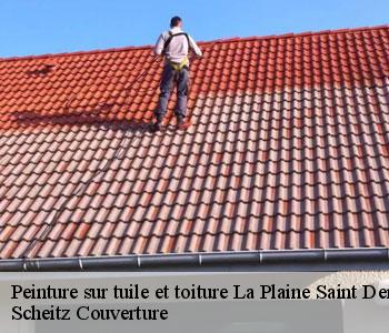 Peinture sur tuile et toiture