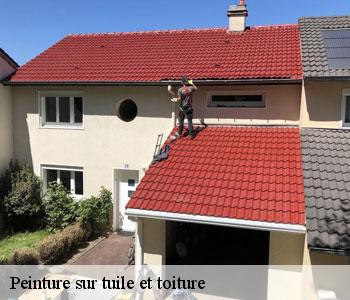 Peinture sur tuile et toiture